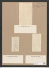 Pleurosigma naviculaceum Breb. (de-Toni-Nr.: Genus 13, Species 1003) Zeichnungen Sammlung Grunow Nr. 2033 (NHMW-BOT-W0368886)